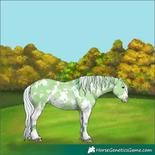 Horse Color:Watercolor White Spotted Silver Grullo Sabino Rabicano 