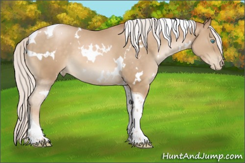 Horse Color:White Spotted Silver Buckskin Pearl Mushroom Tobiano 