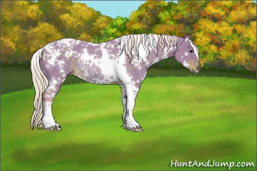 Horse Color:Watercolor White Spotted Silver Buckskin Tobiano Rabicano 