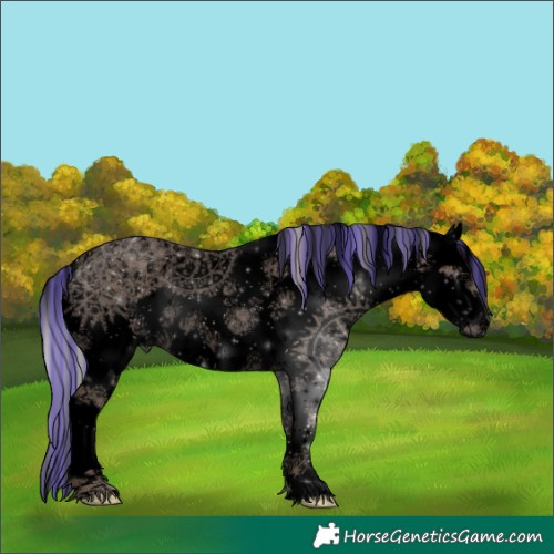Horse Color:Void Painted Silver Black Sabino Splash Rabicano 