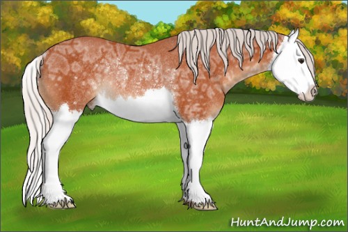 Horse Color:Silver Brown Ice Splash Rabicano 