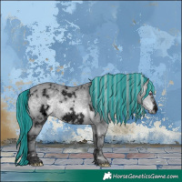 Horse Color:Void Painted White Spotted Silver Brown Chinchilla Rabicano 