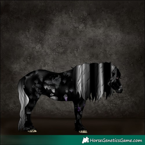 Horse Color:Void Silver Black Chinchilla Sabino Splash