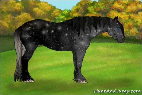 Horse Color:Void Silver Bay Roan Onyx Splash Rabicano 