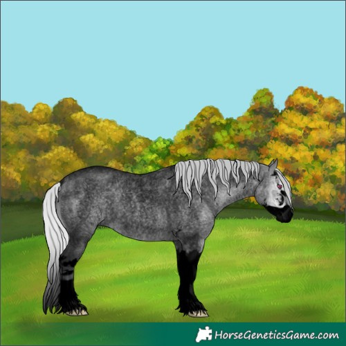 Horse Color:Void Silver Brown Chinchilla Roan Dun Sabino Splash Rabicano 