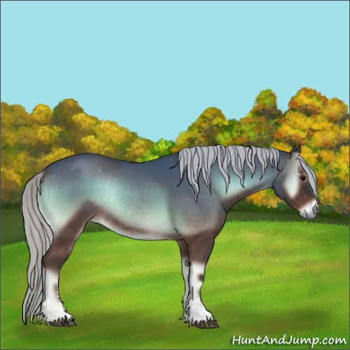 Horse Color:Silver Brown Onyx Sabino Rabicano 