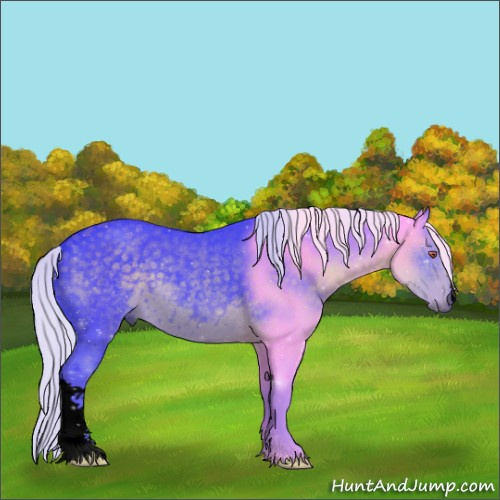 Horse Color:Void Watercolor Silver Black Chinchilla 
