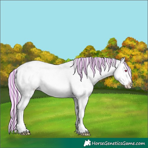 Horse Color:Painted Silver Classic Champagne Chinchilla Ice Roan Onyx Splash Rabicano 