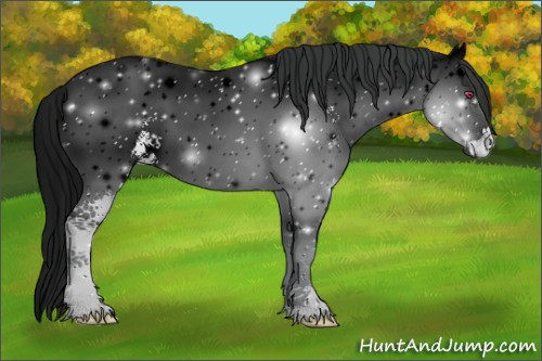 Horse Color:ERROR: UNKNOWN ANOMALY