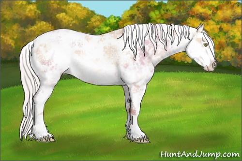 Horse Color:Silver Amber Champagne Ice Dun Sabino Rabicano 