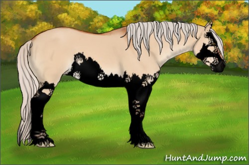 Horse Color:Void Silver Bay Dun Splash 
