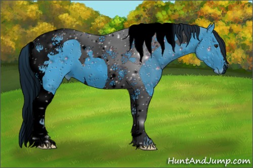 Horse Color:ERROR: UNKNOWN ANOMALY