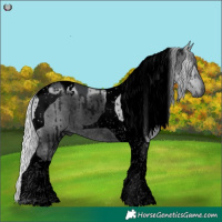 Horse Color:Void Silver Grullo Chinchilla Tobiano Brindle 