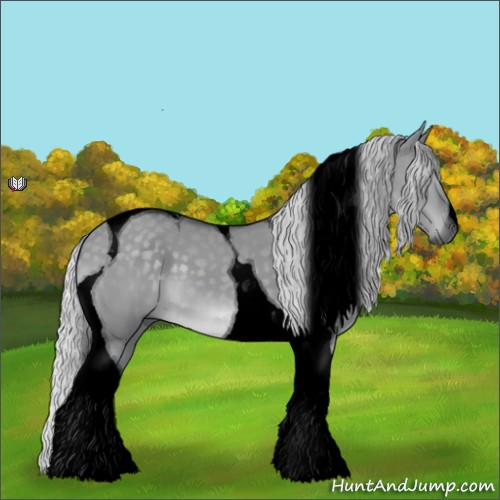 Horse Color:Void Silver Grullo Chinchilla Tobiano 