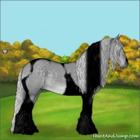 Horse Color:Void Silver Grullo Chinchilla Tobiano