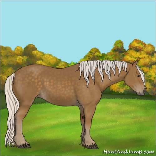 Horse Color:Silver Smoky Black
