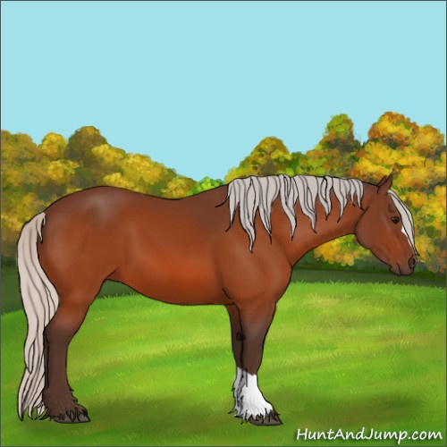 Horse Color:Silver Bay