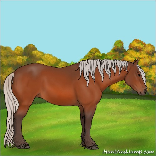 Horse Color:Silver Bay
