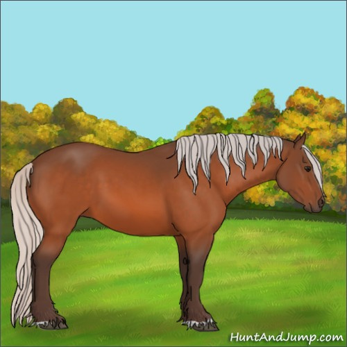 Horse Color:Silver Bay 