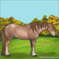 Horse Color:Liver Chestnut Pearl Rabicano  and Liver Chestnut Pearl Rabicano 