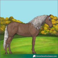 Horse Color:Silver Black 