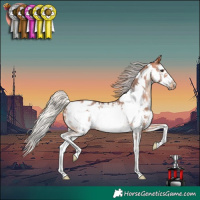 Horse Color:Silver Bay Sabino Frame Near Leopard 