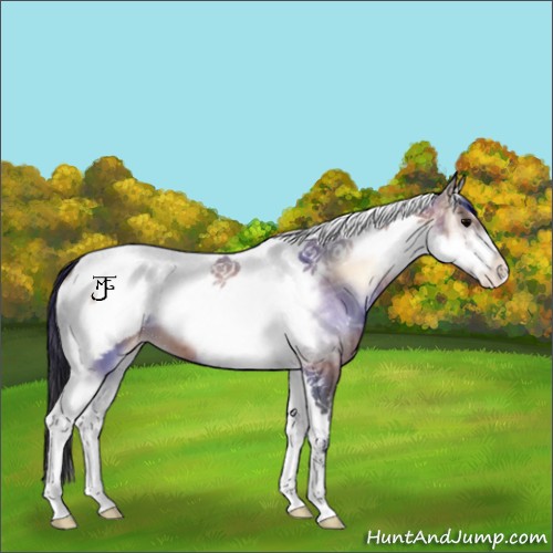 Horse Color:Bay Ice Onyx Tobiano Frame Snowcap