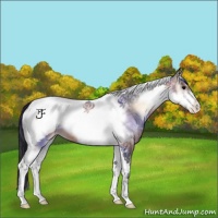 Horse Color:Bay Ice Onyx Tobiano Frame Snowcap 