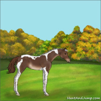 Horse Color:Liver Chestnut Tobiano 