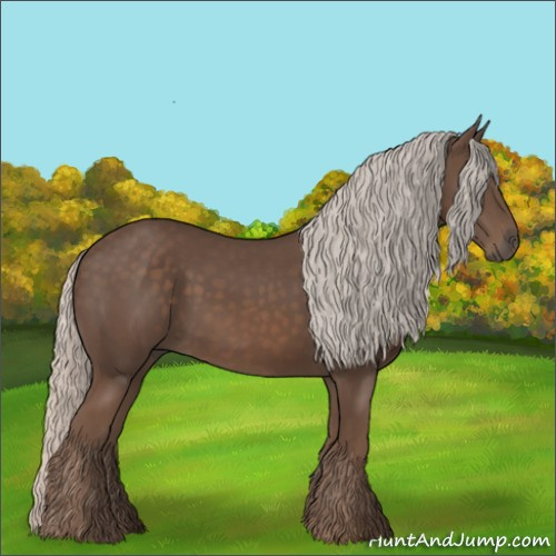 Horse Color:Silver Black