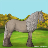 Horse Color:Silver Grullo 
