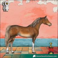 Horse Color:Chocolate Palomino Tobiano 