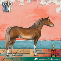 Horse Color:Chocolate Palomino Tobiano 