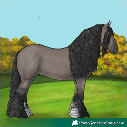 Horse Color:Grullo Sabino Rabicano 