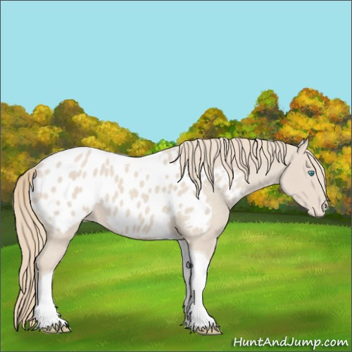 Horse Color:Smoky Creme Tobiano Appaloosa 