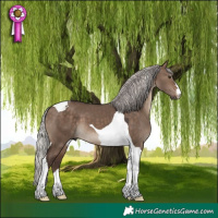 Horse Color:Silver Brown Dun Tobiano 