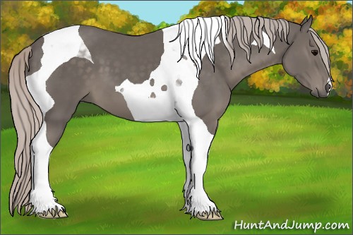 Horse Color:Silver Black Tobiano