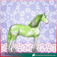 Horse Color:Watercolor White Spotted Liver Red Dun Splash 