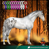 Horse Color:Silver Smoky Black Tobiano Appaloosa