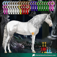 Horse Color:Silver Smoky Black Tobiano Appaloosa 