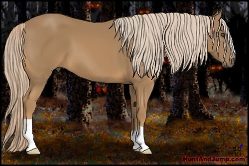 Horse Color:Palomino Frame 