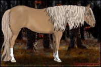 Horse Color:Palomino Frame 