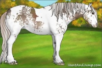 Horse Color:White Spotted Silver Black Tobiano 
