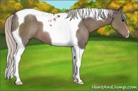 Horse Color:Silver Black Tobiano
