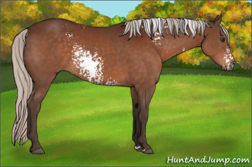 Horse Color:White Spotted Silver Brown 