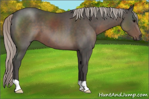 Horse Color:Silver Black 