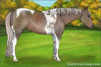 Horse Color:Silver Black Tobiano