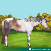 Horse Color:Nacre Chocolate Brown Tobiano 