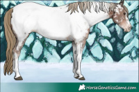 Horse Color:Liver Chestnut Sabino Tobiano Near Fewspot 
