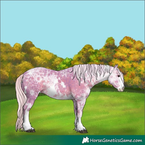 Horse Color:Watercolor White Spotted Silver Black Ice Sabino 